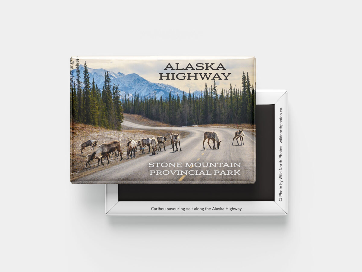 Alaska Highway Caribou Souvenir Photo Magnet